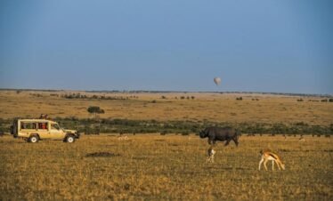 8 Days Tanzanian Safari & Cultural Experience