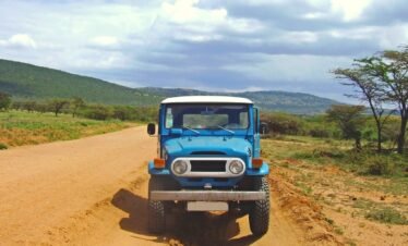 5 Days Budget Serengeti Experience